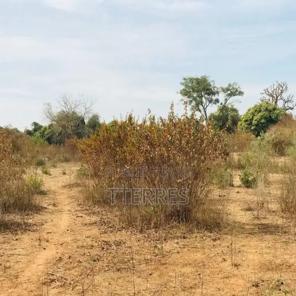 Terrain Agricole De 1,28 Hectare Vers Sindia – Mbour
