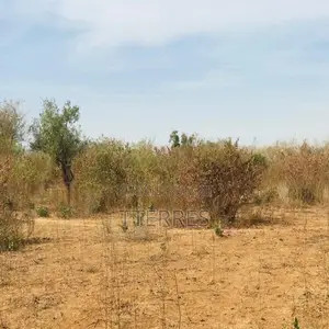 Terrain Agricole De 1,28 Hectare Vers Sindia – Mbour