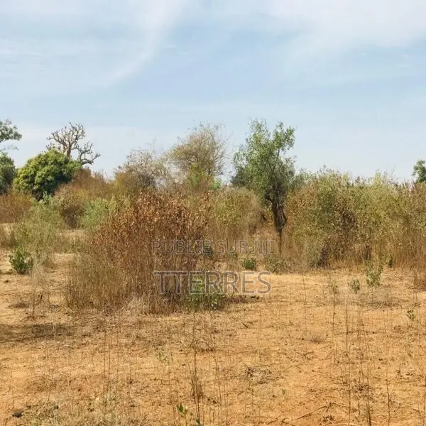 Terrain Agricole De 1,28 Hectare Vers Sindia – Mbour