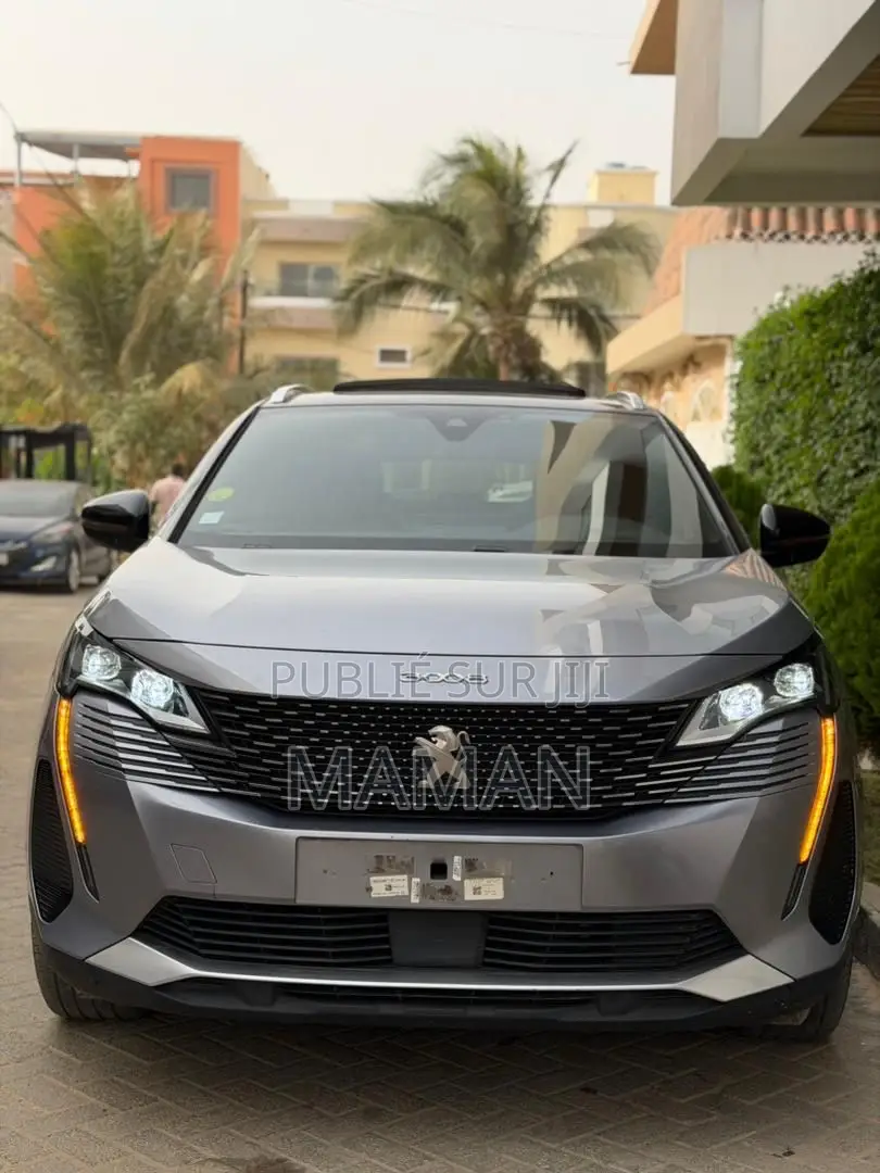Peugeot 3008 2021 Gris