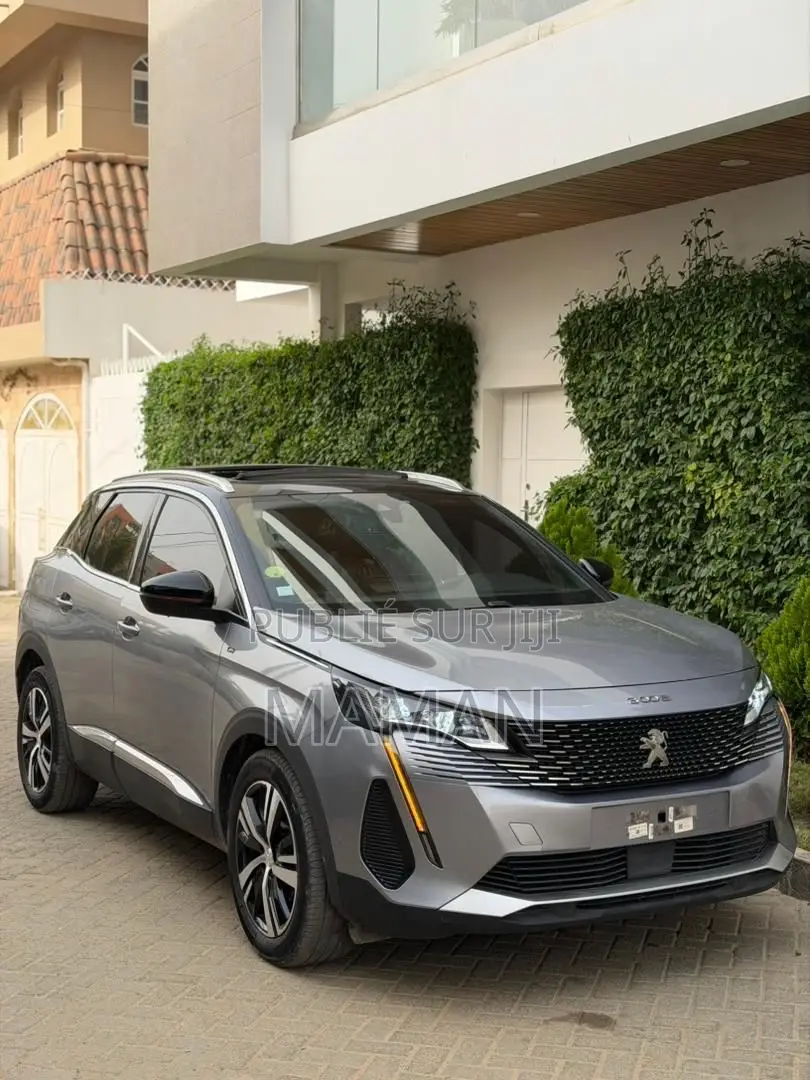 Peugeot 3008 2021 Gris