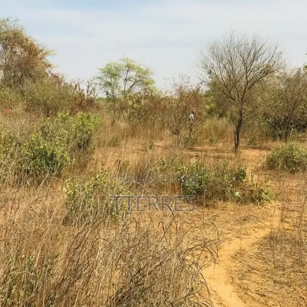 Terrain Agricole De 1,50 Hectare Vers Sindia – Mbour