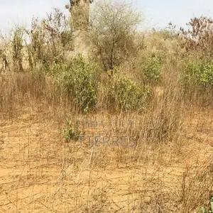 Terrain Agricole De 1,50 Hectare Vers Sindia – Mbour