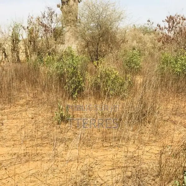 Terrain Agricole De 1,50 Hectare Vers Sindia – Mbour