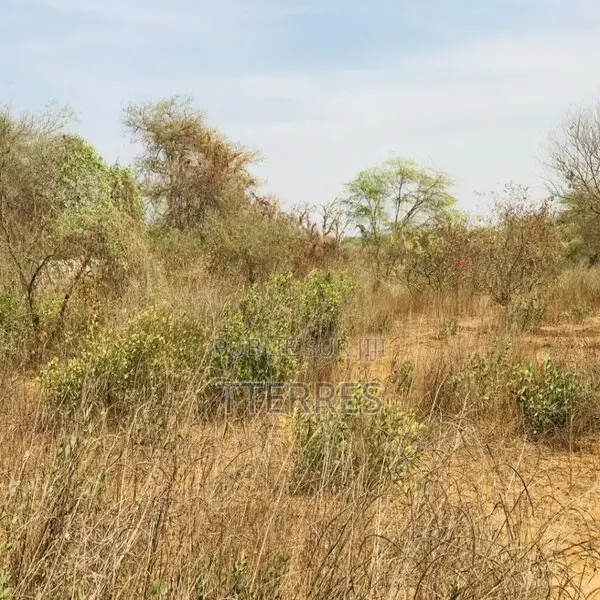 Terrain Agricole De 1,50 Hectare Vers Sindia – Mbour