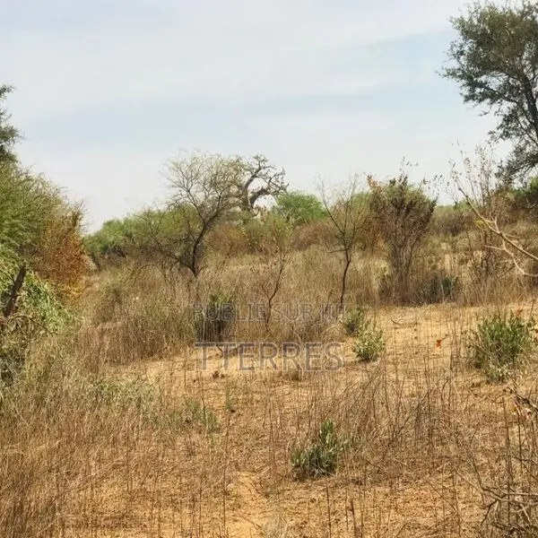 Terrain Agricole De 1,50 Hectare Vers Sindia – Mbour