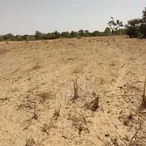 Terrain Agricole De 9 942 M2 Vers Sandiara – Mbour