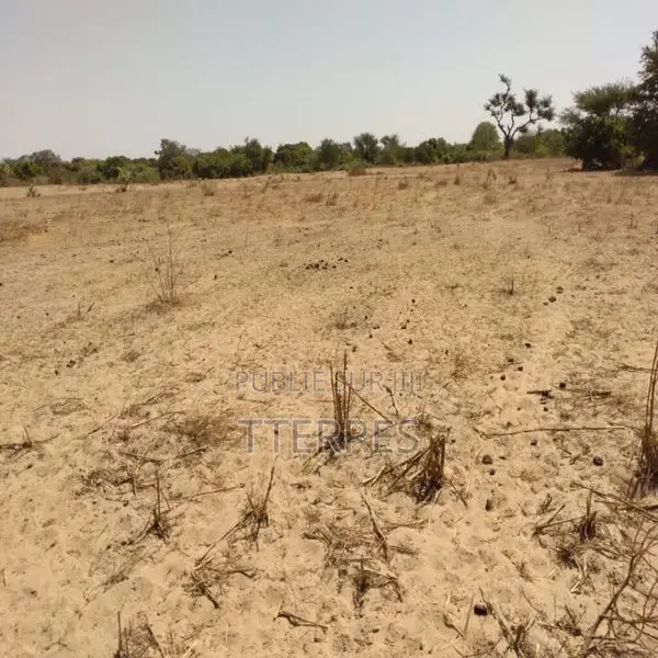 Terrain Agricole De 9 942 M2 Vers Sandiara – Mbour