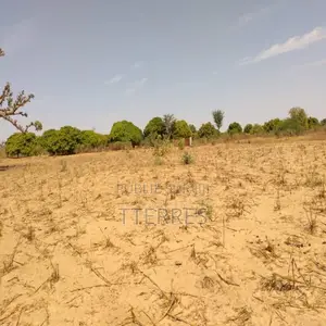 Terrain Agricole De 9 942 M2 Vers Sandiara – Mbour