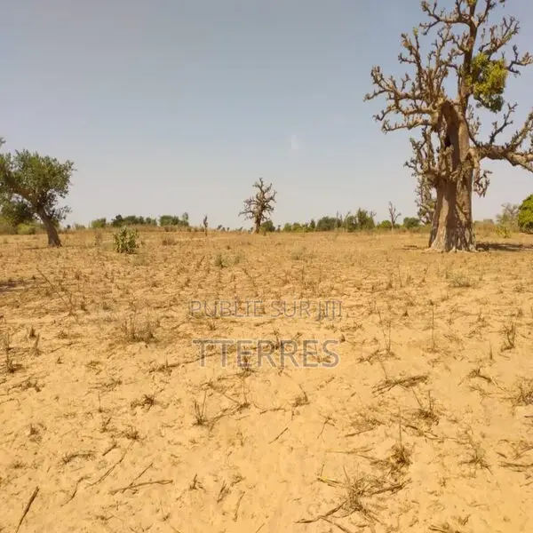 Terrain Agricole De 9 942 M2 Vers Sandiara – Mbour