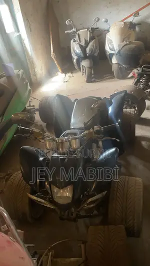 Nouveau Autre 2018 Noir