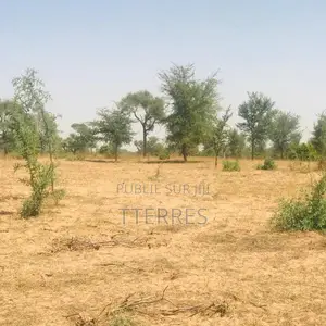 Verger De 1,86 Hectare Vers Tassette – Thiès