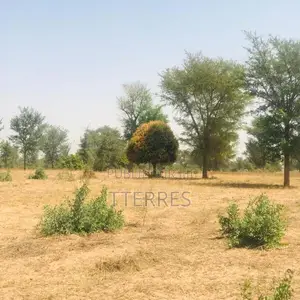 Verger De 1,86 Hectare Vers Tassette – Thiès