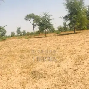 Verger De 1,86 Hectare Vers Tassette – Thiès