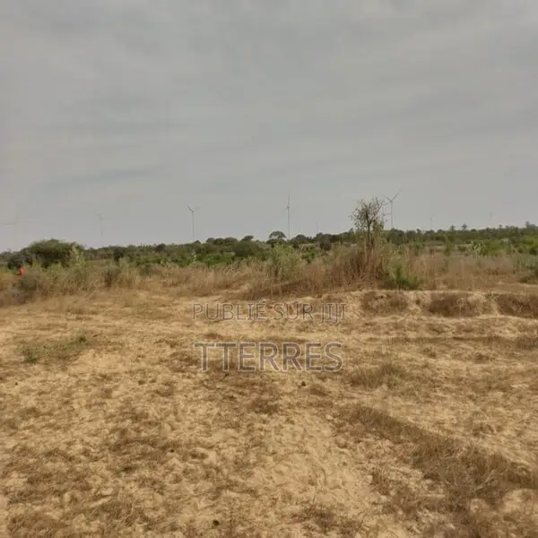 Verger De 8 092 M2 Vers Taiba Ndiaye – Tivaouane