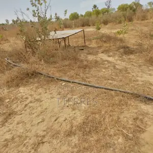 Verger De 8 092 M2 Vers Taiba Ndiaye – Tivaouane