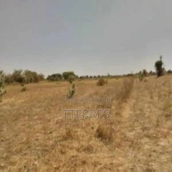 Terrain Agricole De 1,78 Hectare Vers Sandiara – Mbour