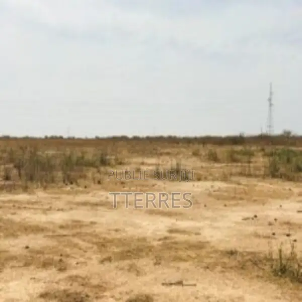 Terrain Agricole De 1,78 Hectare Vers Sandiara – Mbour