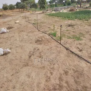 Verger De 1,28 Hectare Vers Darou Khoudoss – Tivaouane