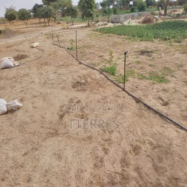 Verger De 1,28 Hectare Vers Darou Khoudoss – Tivaouane