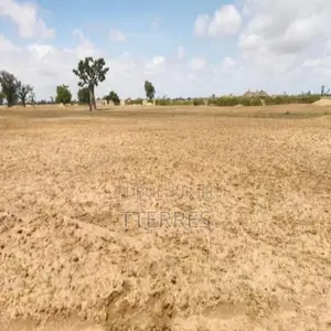 Terrain Agricole De 1,95 Hectare Vers Sandiara – Mbour
