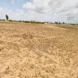 Terrain Agricole De 1,95 Hectare Vers Sandiara – Mbour