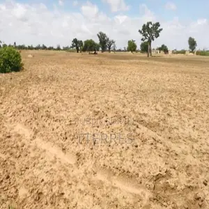 Terrain Agricole De 1,95 Hectare Vers Sandiara – Mbour