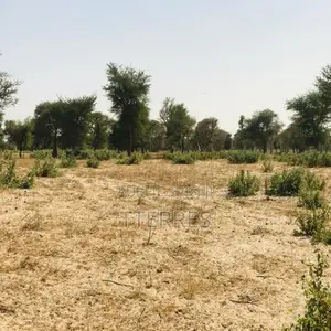 Terrain Agricole De 4,55 Hectares Vers Thiénaba – Thiès