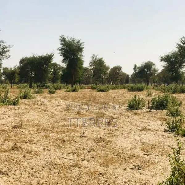 Terrain Agricole De 4,55 Hectares Vers Thiénaba – Thiès