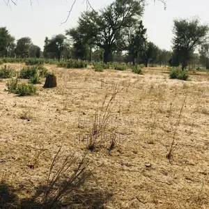 Terrain Agricole De 4,55 Hectares Vers Thiénaba – Thiès