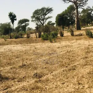 Terrain Agricole De 4,55 Hectares Vers Thiénaba – Thiès