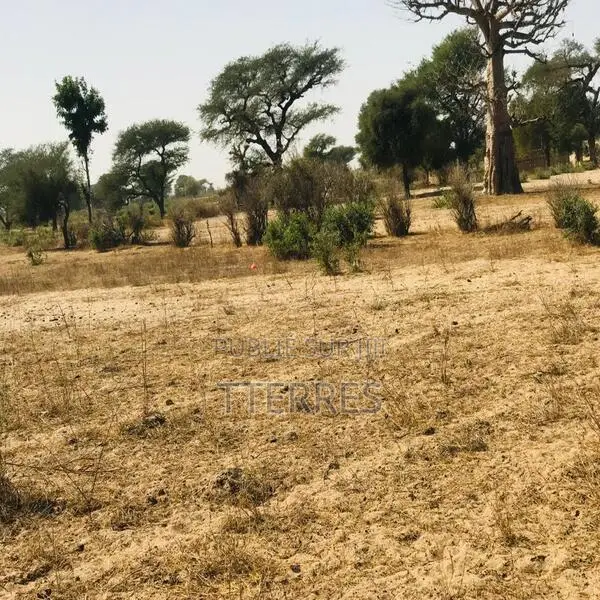 Terrain Agricole De 4,55 Hectares Vers Thiénaba – Thiès