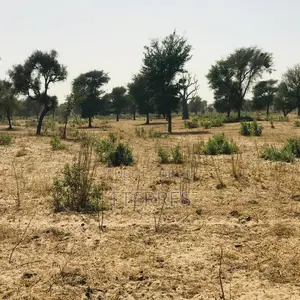 Terrain Agricole De 4,55 Hectares Vers Thiénaba – Thiès