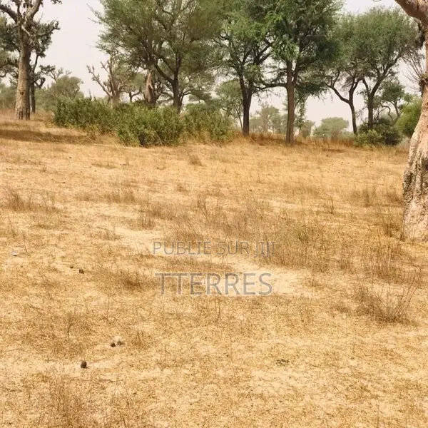 Terrain Agricole De 2,47 Hectares Vers Thiénaba – Thiès