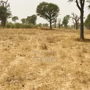 Terrain Agricole De 2,47 Hectares Vers Thiénaba – Thiès