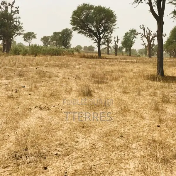 Terrain Agricole De 2,47 Hectares Vers Thiénaba – Thiès