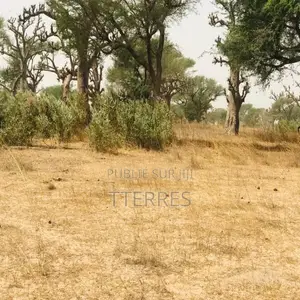 Terrain Agricole De 2,47 Hectares Vers Thiénaba – Thiès