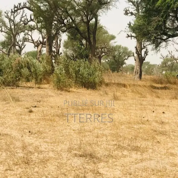 Terrain Agricole De 2,47 Hectares Vers Thiénaba – Thiès