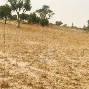 Terrain Agricole De 1,81 Hectare Vers Keur Samba Kane – Bambay