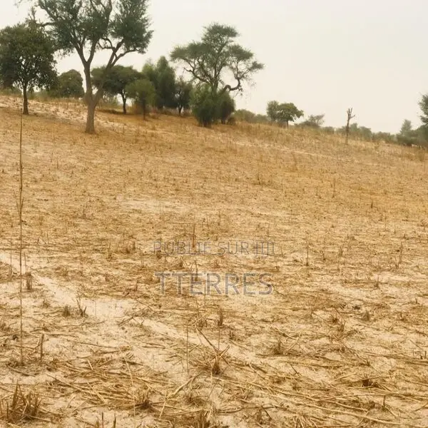 Terrain Agricole De 1,81 Hectare Vers Keur Samba Kane – Bambay