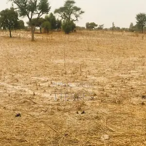 Terrain Agricole De 1,81 Hectare Vers Keur Samba Kane – Bambay