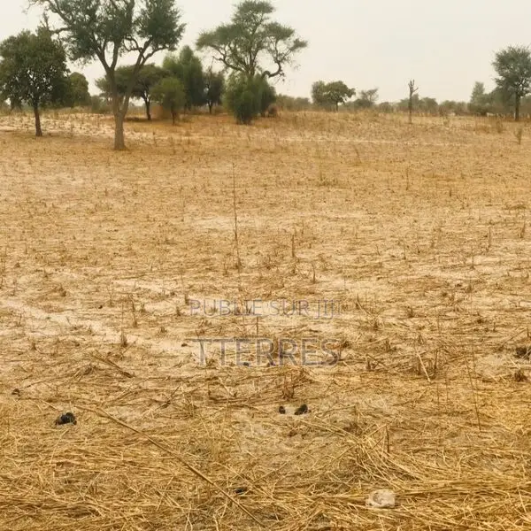 Terrain Agricole De 1,81 Hectare Vers Keur Samba Kane – Bambay