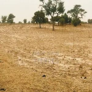 Terrain Agricole De 1,81 Hectare Vers Keur Samba Kane – Bambay