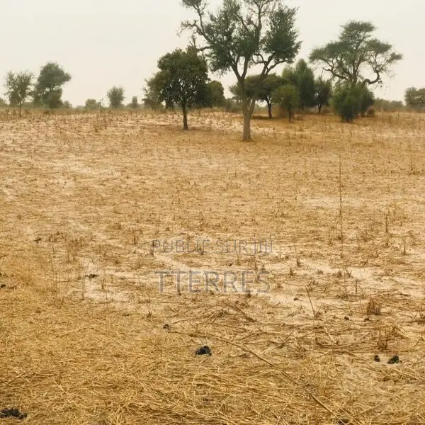 Terrain Agricole De 1,81 Hectare Vers Keur Samba Kane – Bambay