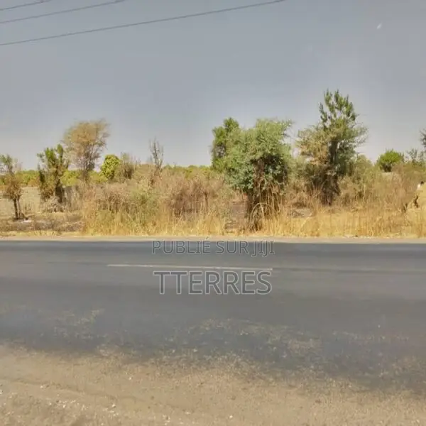 Verger De 8 814 M2 Vers Sandiara – Mbour