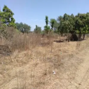 Verger De 8 814 M2 Vers Sandiara – Mbour