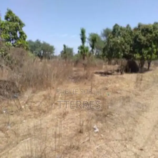 Verger De 8 814 M2 Vers Sandiara – Mbour