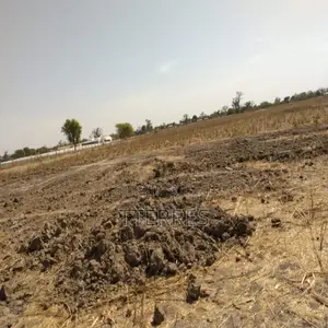 Verger De 8 814 M2 Vers Sandiara – Mbour