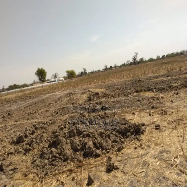 Verger De 8 814 M2 Vers Sandiara – Mbour