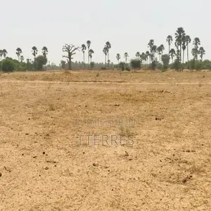 Terrain Agricole De 9103 M2 Vers Fimela – Fatick